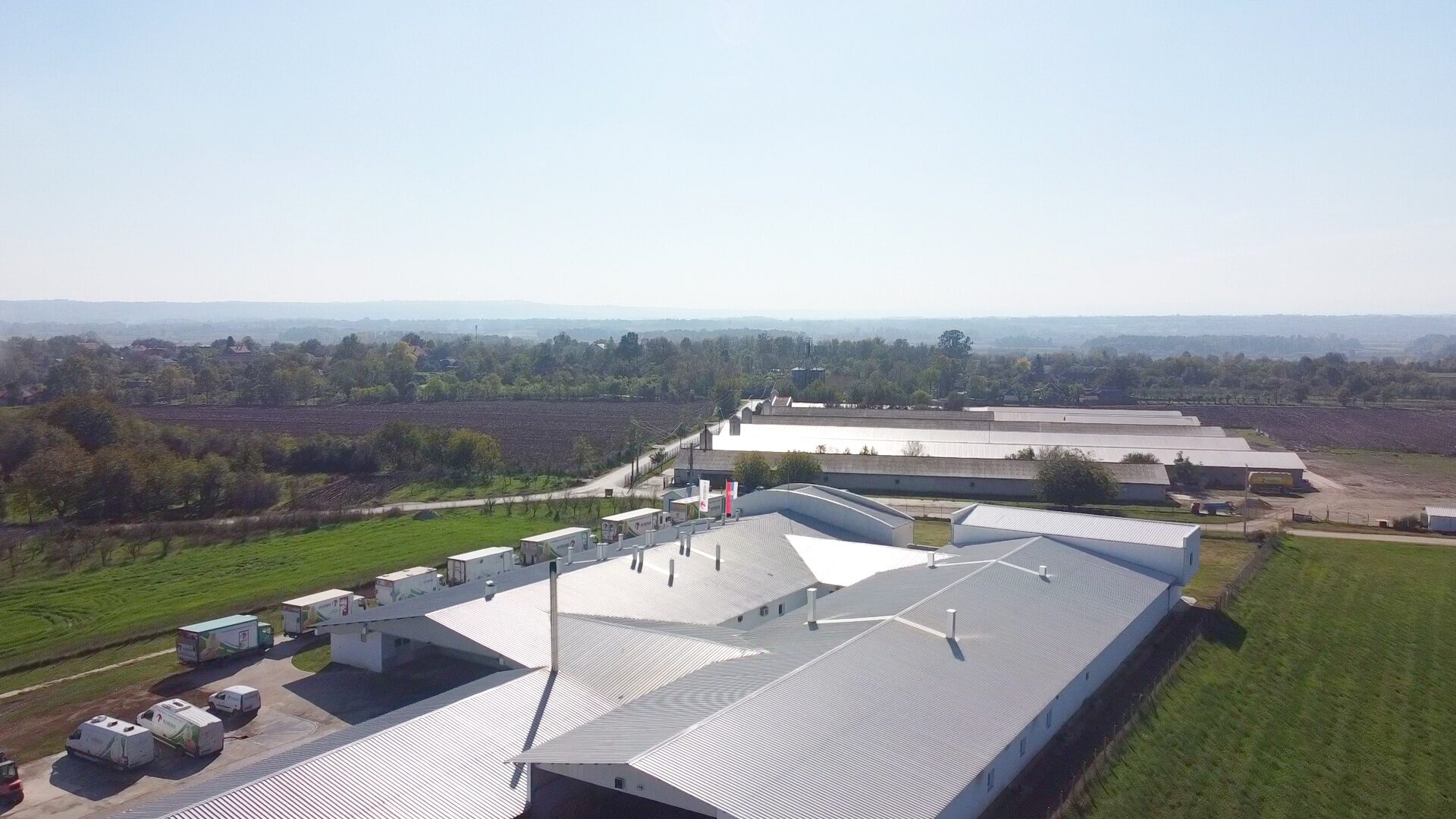 Robins Uzgoj živine I Proizvodnja Jednodnevnih Tovnih Pilica