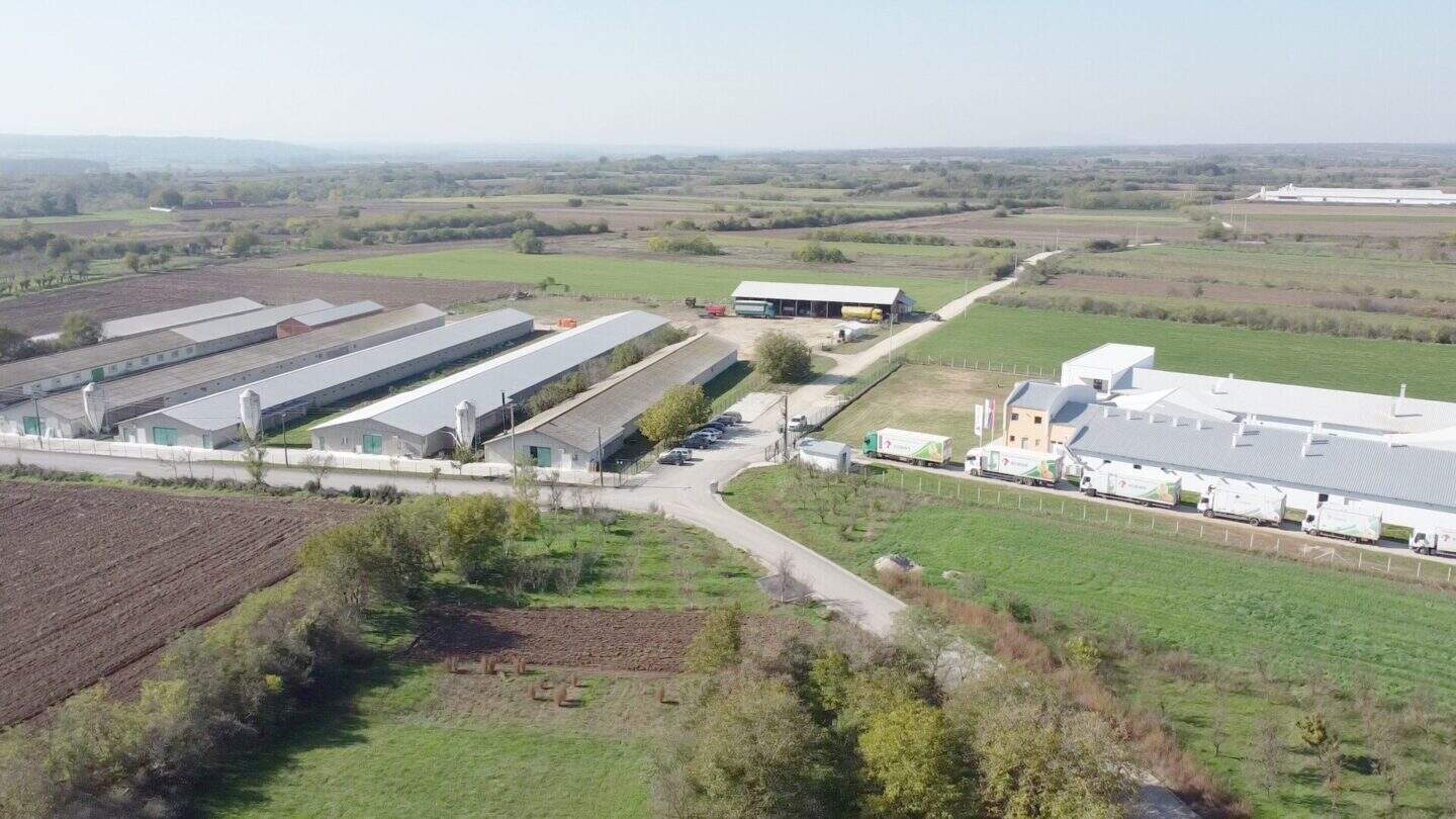 Robins Uzgoj živine I Proizvodnja Jednodnevnih Tovnih Pilica 06