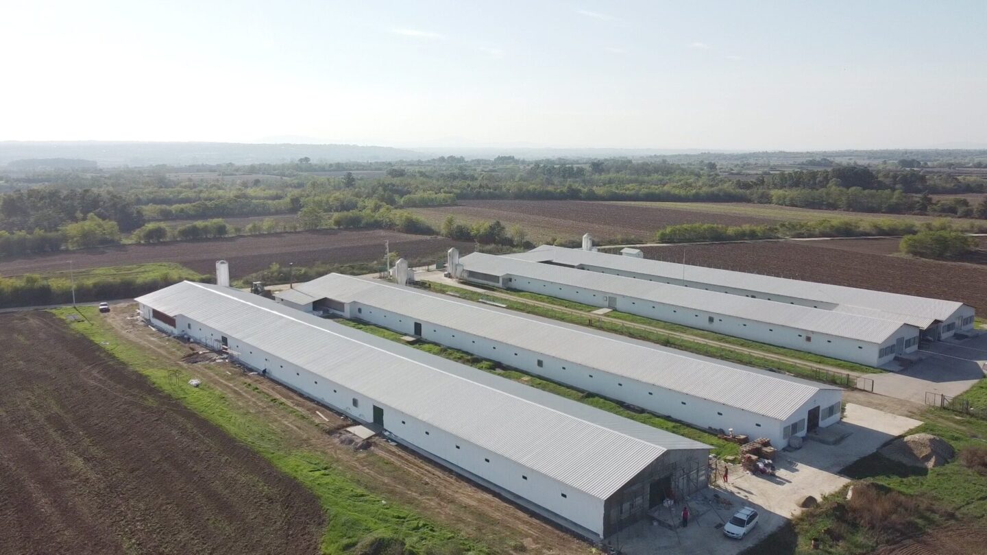 Robins Uzgoj živine I Proizvodnja Jednodnevnih Tovnih Pilica 08