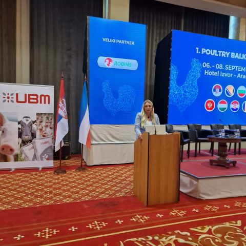 Robins Zivinarski Forum8